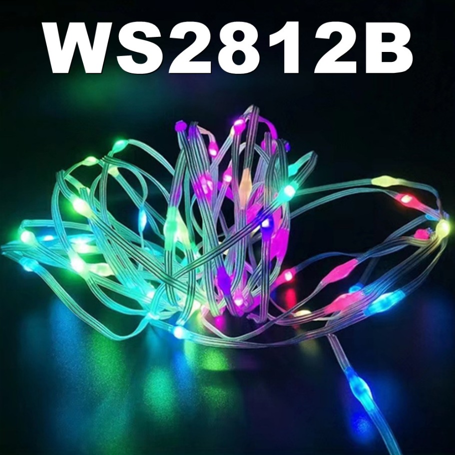 WS2812B LED Light String Smart - Led Fairy String Lights のレビューと価格