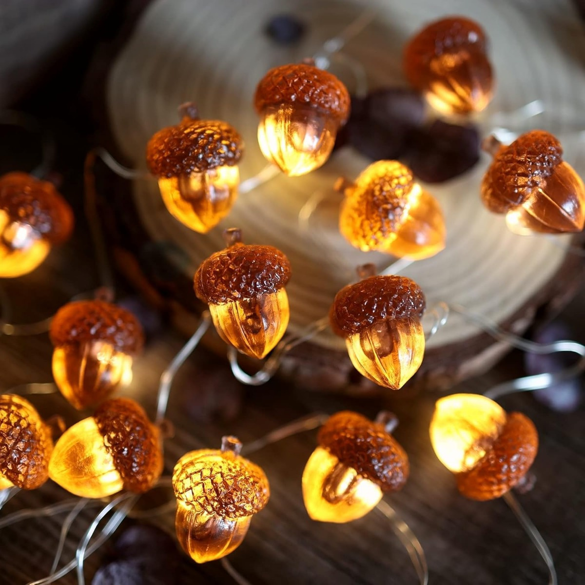 30 LEDs Acorn String Lights Th - Led Fairy String Lights のレビューと価格